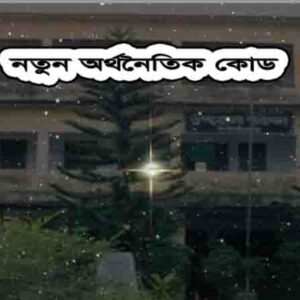 অর্থনৈতিক কোড