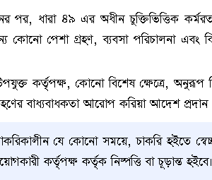 অবসর গ্রহণ করলে ব্যবসা করা যাবে । কোন অনুমতি লাগবে না