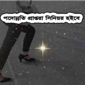 জ্যেষ্ঠতা বিধিমালা