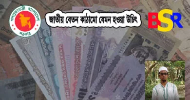 জাতীয় বেতন কাঠামো