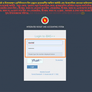 ibas++ pay bill submission process