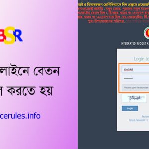 IBAS++ এ বেতন বিল দাখিল করার নিয়ম ২০২২ । অনলাইনে কিভাবে বেতন বিল দাখিল করতে হয় দেখে নিন।