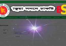 শিক্ষক নিবন্ধন সনদ যাচাই