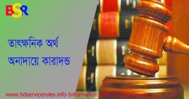 মোবাইল কোর্ট আইন ২০০৯