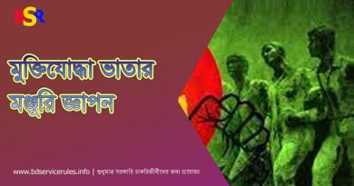 বিজয় দিবস ভাতা