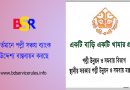 একটি বাড়ি একটি খামার প্রকল্প । দিন বদলের স্বপ্ন সবার