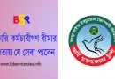 সরকারি কর্মচারী বীমা সেবা ২০২৩ । বীমার আওতায় আসলে কর্মচারীগণ কি কি সুবিধা পাবে?