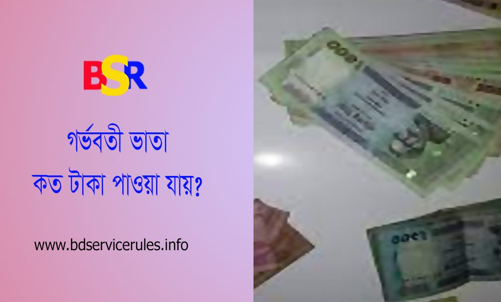 মাতৃত্বকালীন ভাতা ২০২৩-২০২৪ । মাতৃত্বকালীন ভাতা অনলাইন আবেদন পদ্ধতি দেখুন