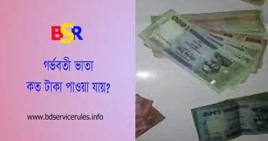 মাতৃত্বকালীন ভাতা ২০২৩-২০২৪ । মাতৃত্বকালীন ভাতা অনলাইন আবেদন পদ্ধতি দেখুন