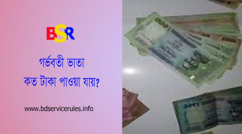 মাতৃত্বকালীন ভাতা ২০২৩-২০২৪ । মাতৃত্বকালীন ভাতা অনলাইন আবেদন পদ্ধতি দেখুন