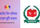 সারাদেশে সাধারণ ছুটি ঘোষণা ২০২৩ । ভোটের দিন সরকারি ও বেসরকারি প্রতিষ্ঠান কি বন্ধ থাকবে?