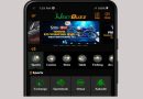 Jeetbuzz ক্রিকেট বাজি এবং অনলাইন ক্যাসিনো ২০২৪