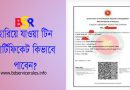 টিআইএন সার্টিফিকেট বের করার নিয়ম ২০২৪ । টিন নাম্বার দিয়ে সার্টিফিকেট বের করা যায় কি?