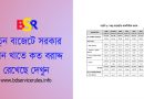 Budget 2024-2025 Bangla । নতুন বাজেটে যে সব পরিবর্তন আনা হয়েছে (বাজেট বক্তৃতা)
