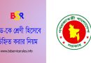 Govt. Staff Introduced by Grade 2024 । সরকারি কর্মচারীগণ পূর্বতন শ্রেণি ভিত্তিক পরিচিতি হতে বের হতে পেরেছে কি