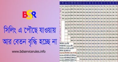 বার্ষিক বেতন বৃদ্ধি বৈষম্য ২০২৪ । সরকারি কর্মচারীদের যাদের বেতন শেষ ধাপে তাদের আর বেতন বৃদ্ধি পাবে না