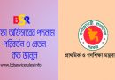 সরকারি জেলা শিক্ষা অফিসারের পদনাম পরিবর্তন ২০২৪ । বিদ্যমান প্রাথমিক শিক্ষা অফিসারের বিভিন্ন পদের নাম পরিবর্তন হয়েছে