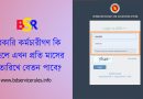 Govt. Salary EFT by DDO to Bangladesh Bank 2024 । এখন DDO আইডি থেকে বেতন বিল অনুমোদন হবে