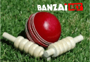 Top Cricket Betting Strategies for Banzai Bet Bangladesh Users