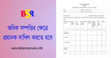 সম্পদের হিসাব বিবরণী ফরম ২০২৪ । সরকারি কর্মচারীকে সম্পদ বিবরণী দাখিল করতে হবে