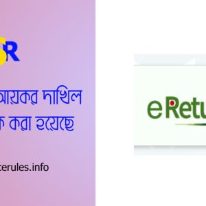 Income Tax Submission by Online । সরকারি কর্মচারীদের রিটার্ন এখন আর ফরমে দাখিল করা যাবে না?