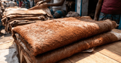 কোরবানির চামড়ার সরকারি দর ২০২৬