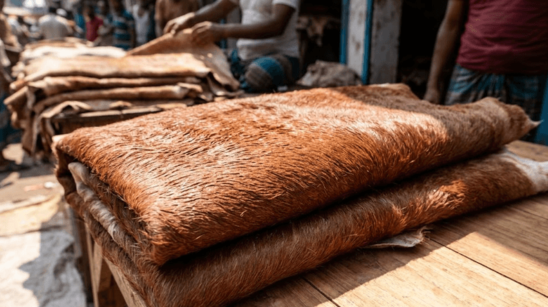 কোরবানির চামড়ার সরকারি দর ২০২৬