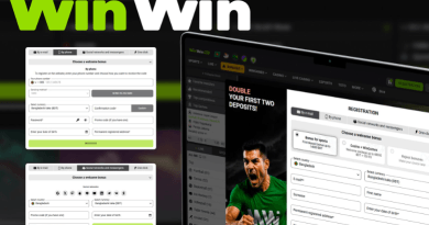 Verification and Login Process on WinWin Website