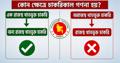 পাবলিক বিশ্ববিদ্যালয় থেকে মন্ত্রণালয়ে চাকরি