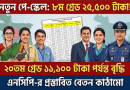 Bengali banner announcing a new pay scale with salary details, showing diverse professionals (teacher, nurse, official, police) and a central document against a world-map background