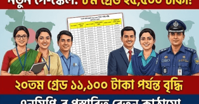Bengali banner announcing a new pay scale with salary details, showing diverse professionals (teacher, nurse, official, police) and a central document against a world-map background