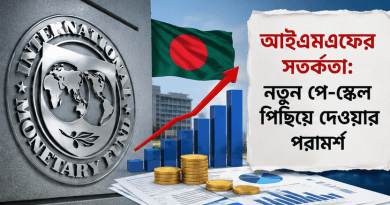অর্থনৈতিক চাপ ও আইএমএফের আপত্তি