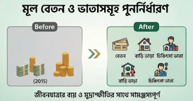 মন্ত্রিসভায় অনুমোদনের প্রস্তুতি