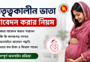 মাতৃত্বকালীন ভাতা আবেদন ২০২৬