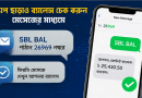 সোনালী ই-ওয়ালেটে ঘরে বসেই ব্যাংক ব্যালেন্স চেক