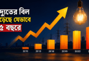 বিদ্যুতের বিল বেড়েছে, বেতন কি সেই হারে বেড়েছে?
