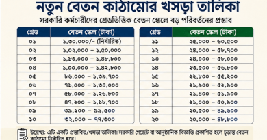 নতুন বেতন কাঠামোর খসড়া