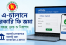 বাড়ছে রাজস্ব ব্যবস্থাপনায় স্বচ্ছতা