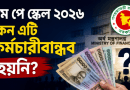 কেন নতুন বেতন কাঠামোকে পুরোপুরি কর্মচারীবান্ধব বলছেন না অনেকে?