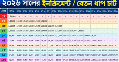 Updated Increment Chart 2026