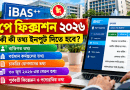 iBAS++-এ বেতন নির্ধারণ করতে যেসব তথ্য ইনপুট দিতে হবে