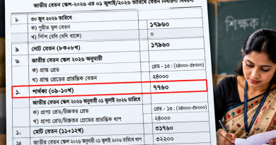 সহকারী শিক্ষকের বেতন নির্ধারণী বিবরণী বিশ্লেষণ