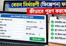 পে ফিক্সেশন অনলাইন ফরম ২০২৬
