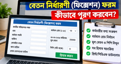 পে ফিক্সেশন অনলাইন ফরম ২০২৬