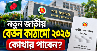 নতুন জাতীয় বেতন কাঠামো কোথায় পাবেন? সরকারি PDF, গেজেট ও iBAS++ পে-ফিকেশন দেখার পূর্ণাঙ্গ নির্দেশিকা