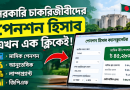 সরকারি চাকরিজীবীদের পেনশন হিসাব এখন এক ক্লিকেই!