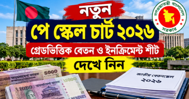পে স্কেল ২০২৬ ইনক্রিমেন্ট শিট দেখে নিন