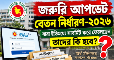৯ম পে-স্কেল ফিক্সেশন ২০২৬: iBAS++ পে-ফিক্সেশনে পদবি, TIN ও প্রথম কর্মস্থল নিয়ে জটিলতা—আগে সাবমিট করা কর্মচারীদের করণীয় কী?
